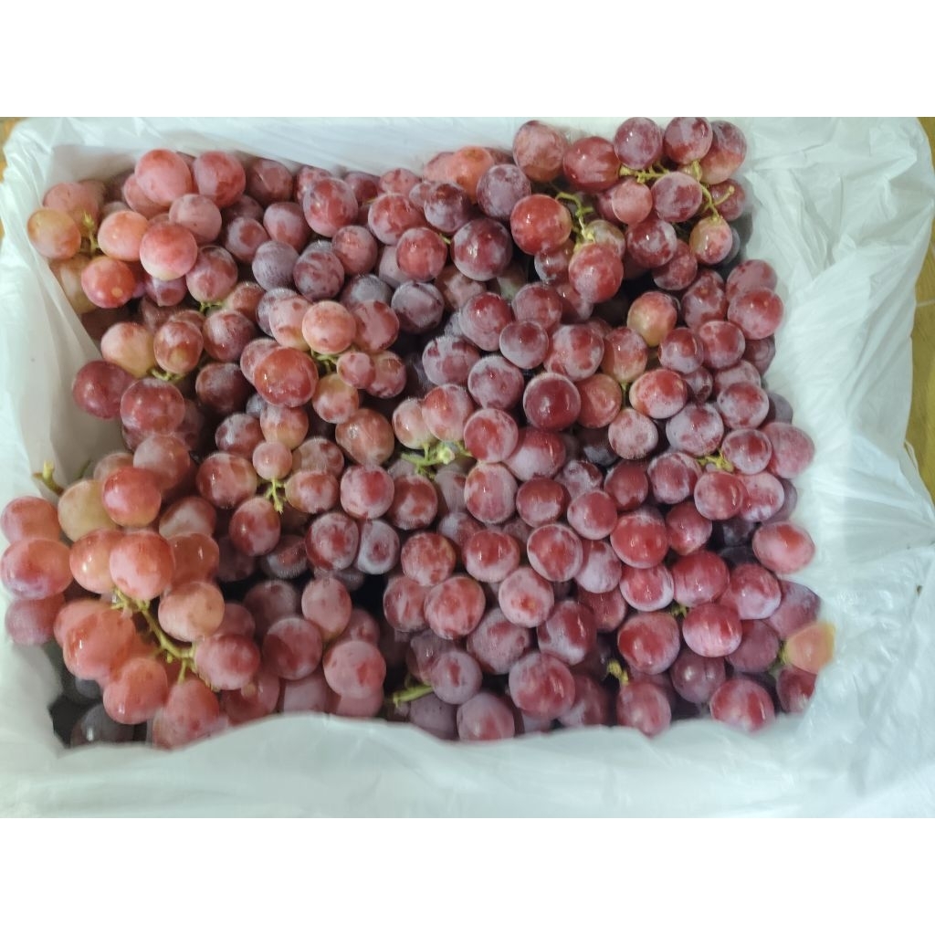 

Anggur Australia 1 kg