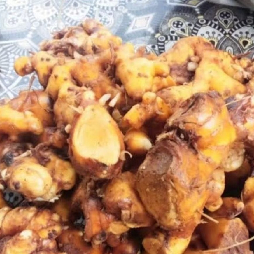 

Umbi bangle rimpang bangle segar organik 1 kg-az