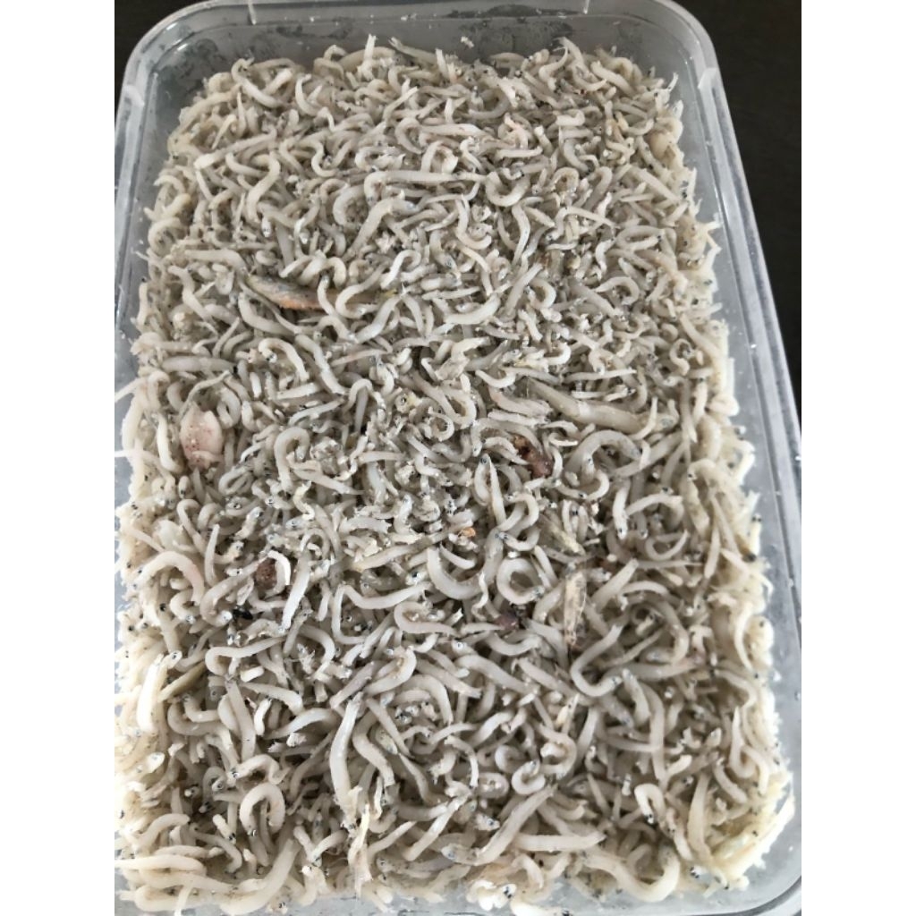 

Ikan teri nasi kering putih dan bersih 500 gram / pack