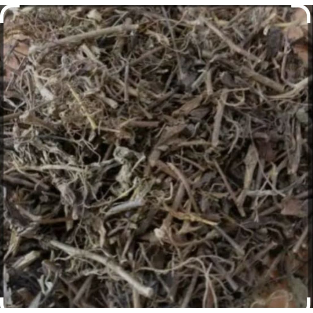 

daun kumis kucing kering 100% alami 100gr