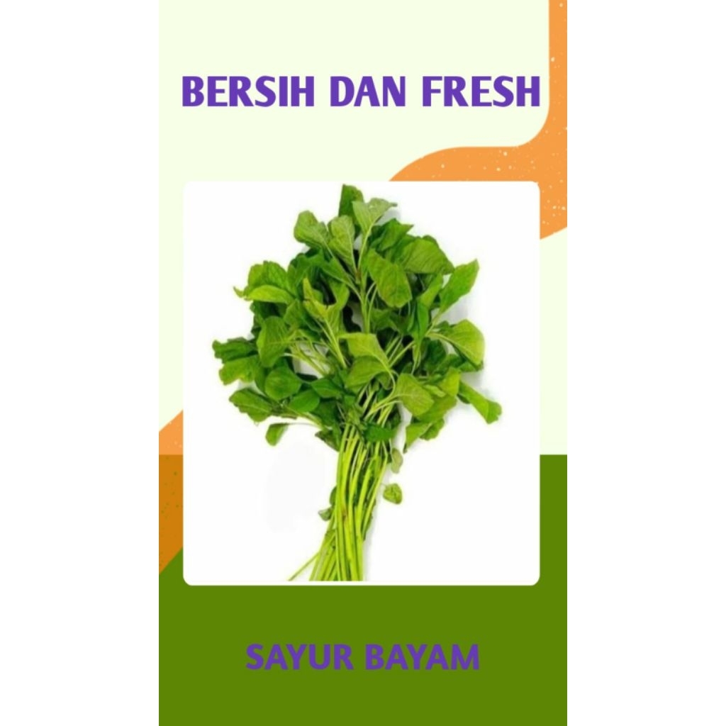 

SAYUR BAYAM BERSIH DAN SEGAR - PALEMBANG