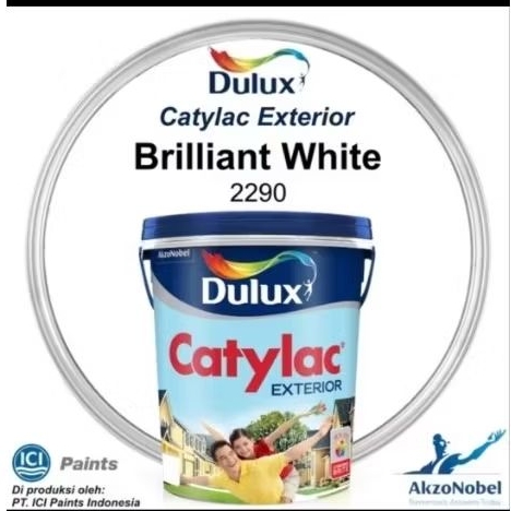 DULUX CATYLAC exterior 5kg