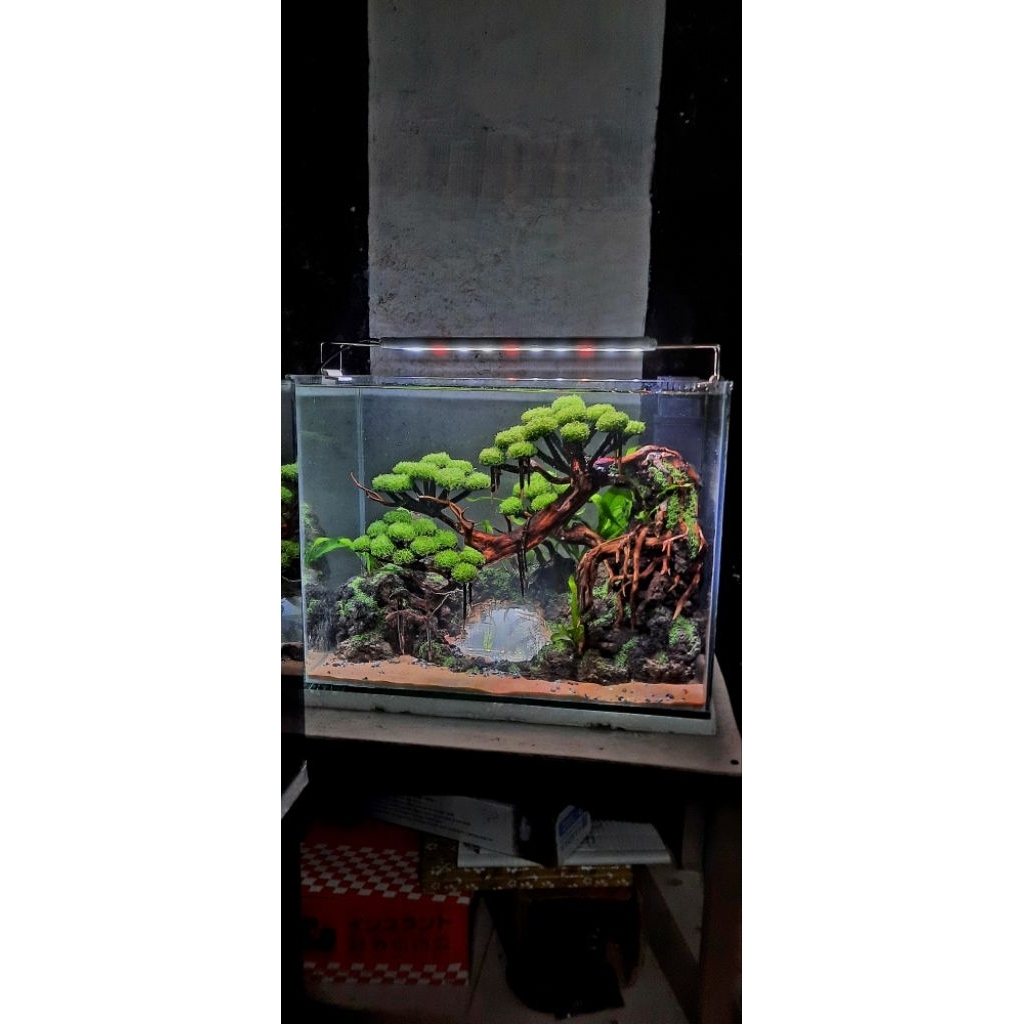 Aquascape Bonsai efek kaca danau (Fullset)