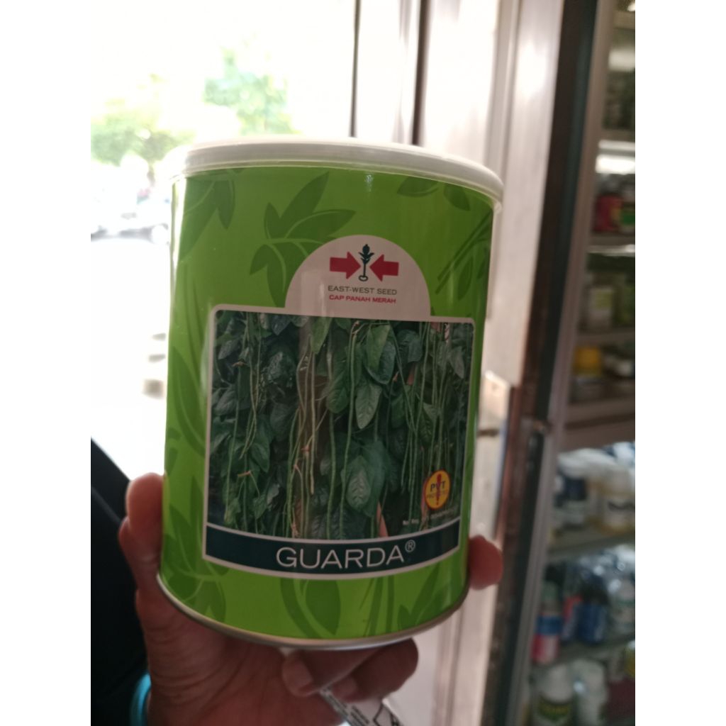 

kacang guarda