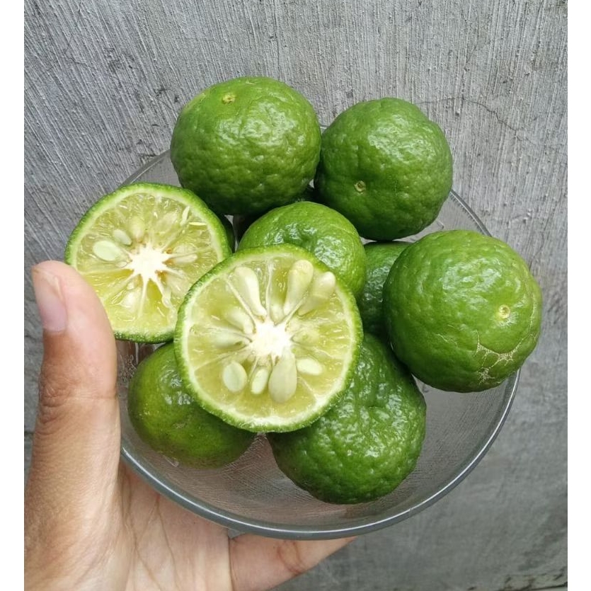 

JERUK LIMAU , JERUK SAMBAL Fresh Berat 1kg