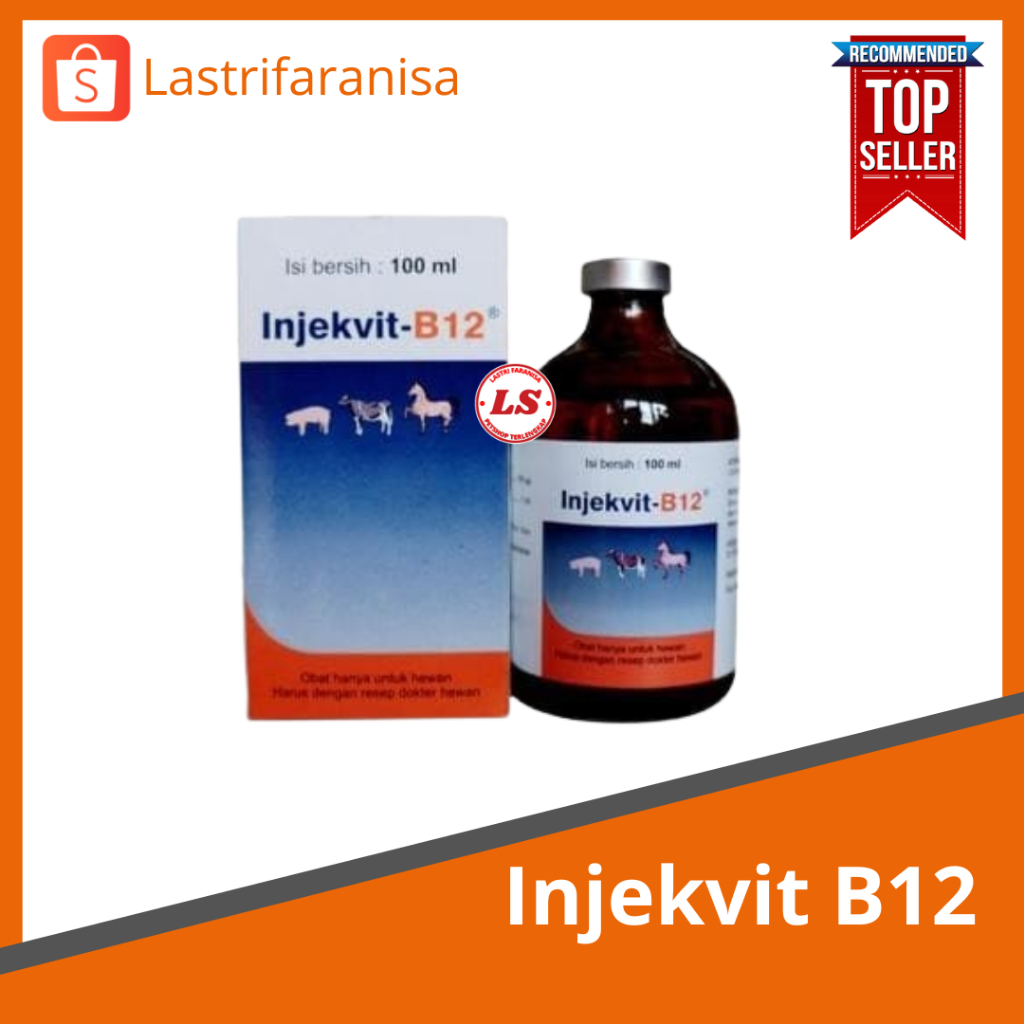 INJEKVIT B12 Vitamin Ayam Suntik Medion
