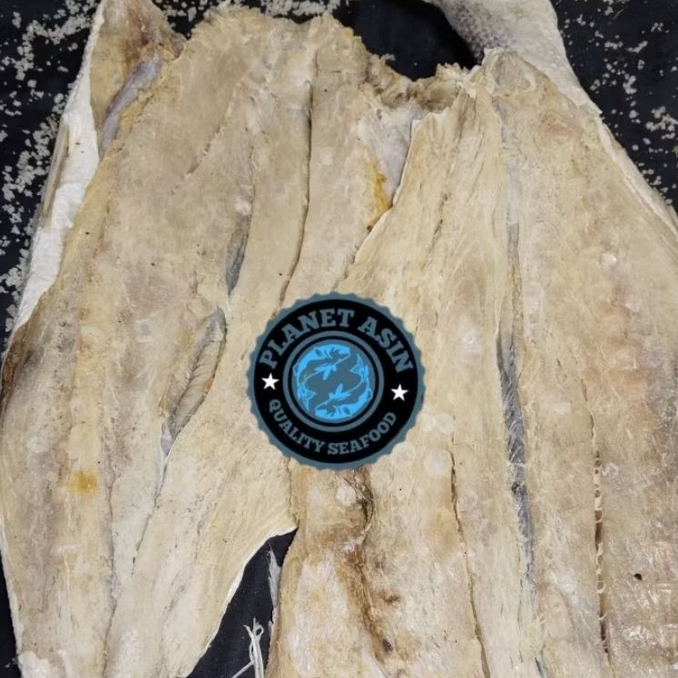 

IKAN ASIN KAKAP SEGAR /IKAN ASIN MURAH/IKAN ASIN LAUT/IKAN ASIN ENAK