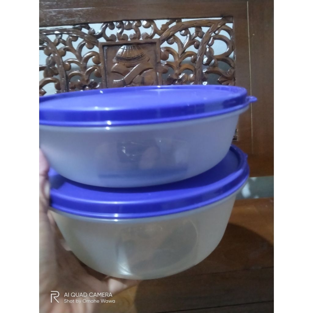 Modular bowl set Tupperware (2 pcs)