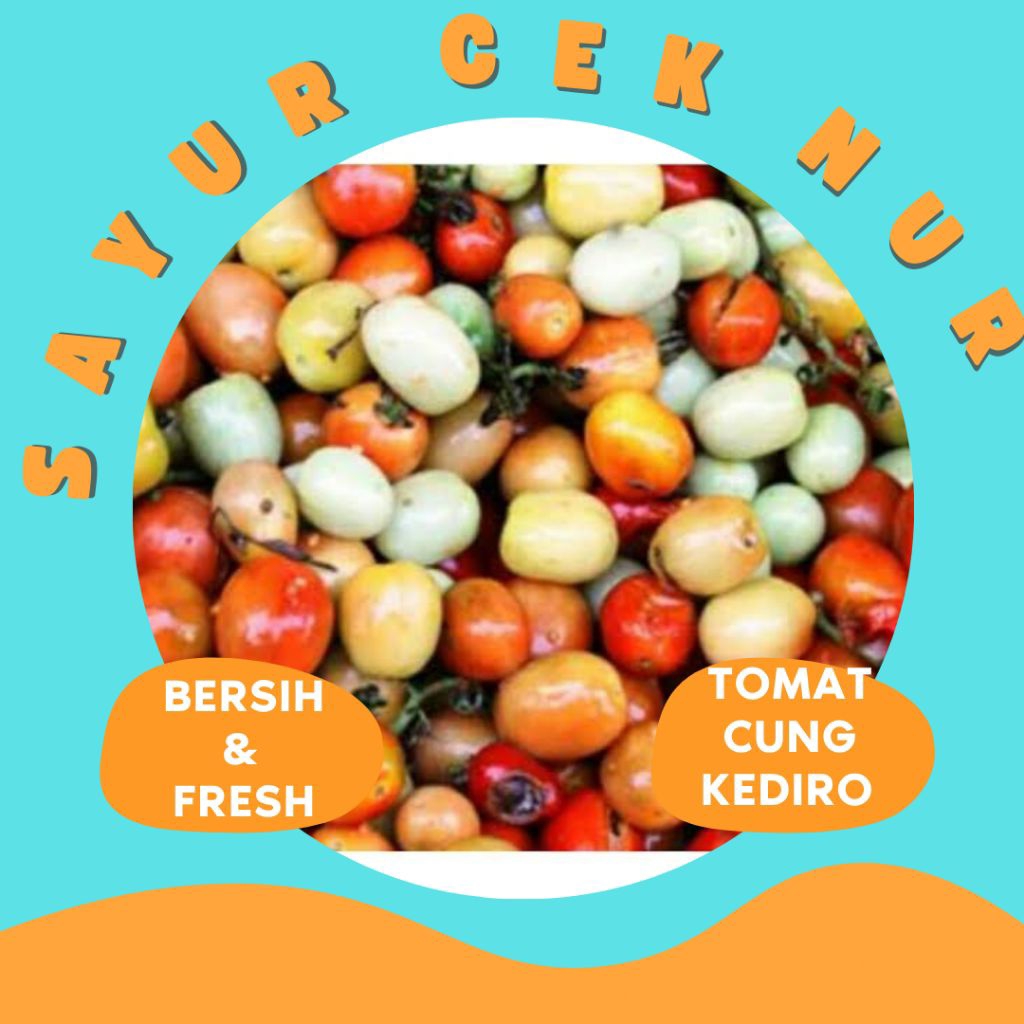 

TOMAT CUNG KEDIRO - INSTAN PALEMBANG