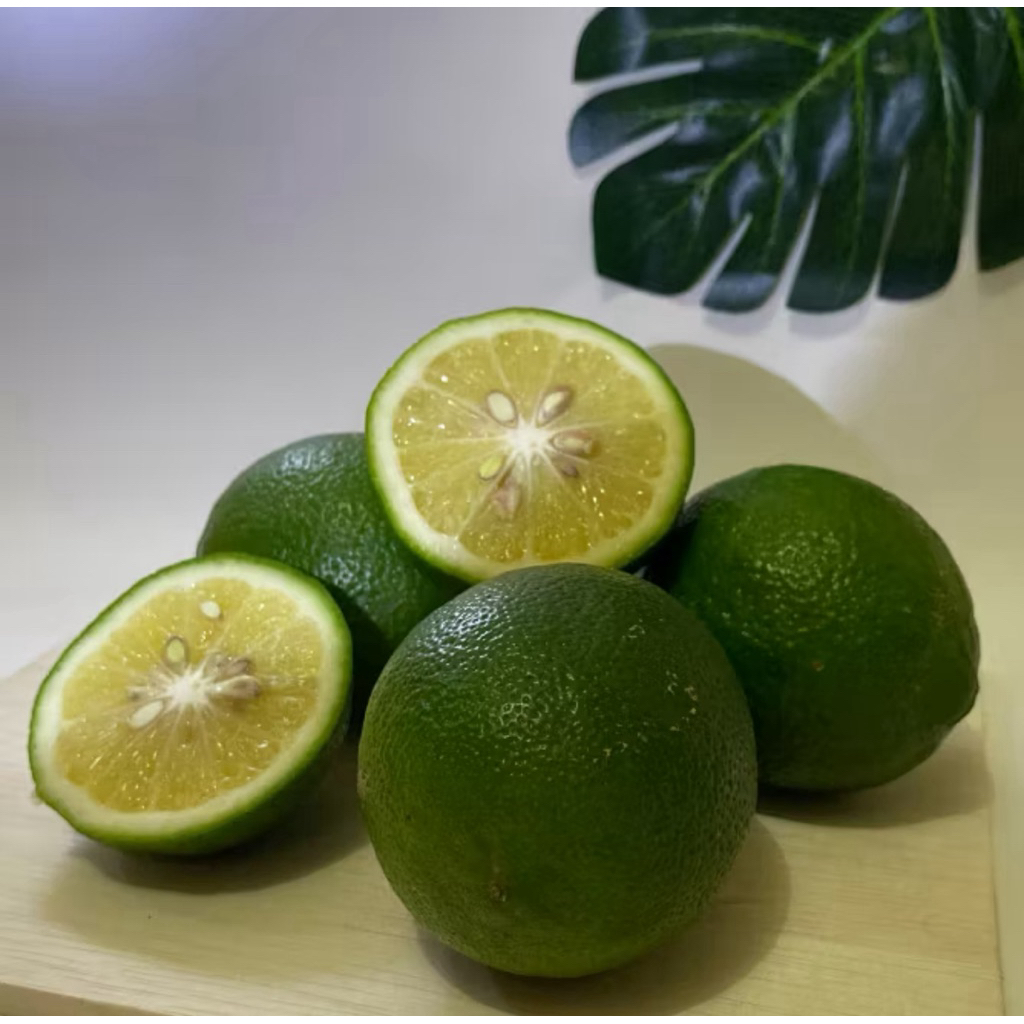 

JERUK LEMON CALOFORNIA 500 Gram | VITAMIN BUAH | MENGATURPENCERNAAN DAN DARAH