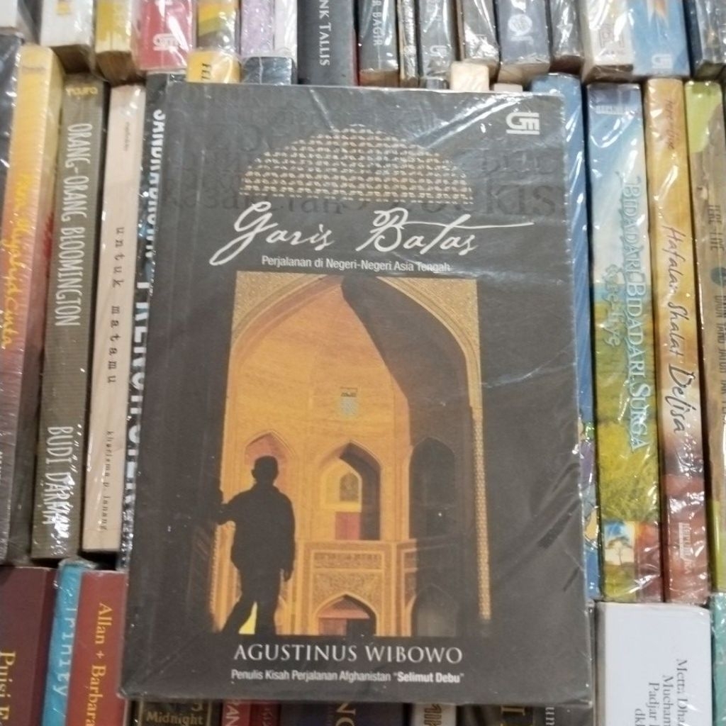 BUKU ORIGINAL GARIS BATAS, AGUSTINUS WIBOWO