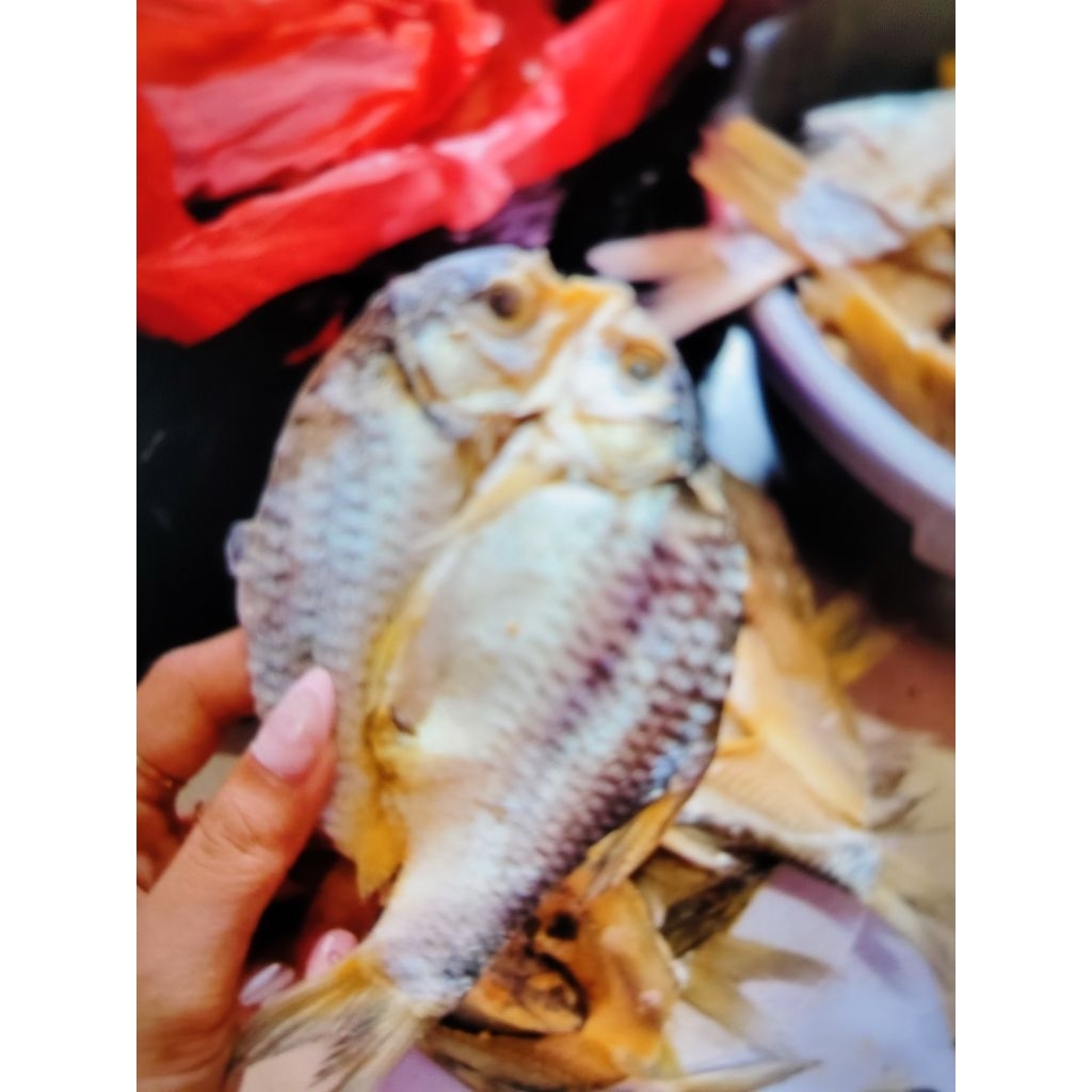 

IKAN ASIN TAWES R2M PREMIUM