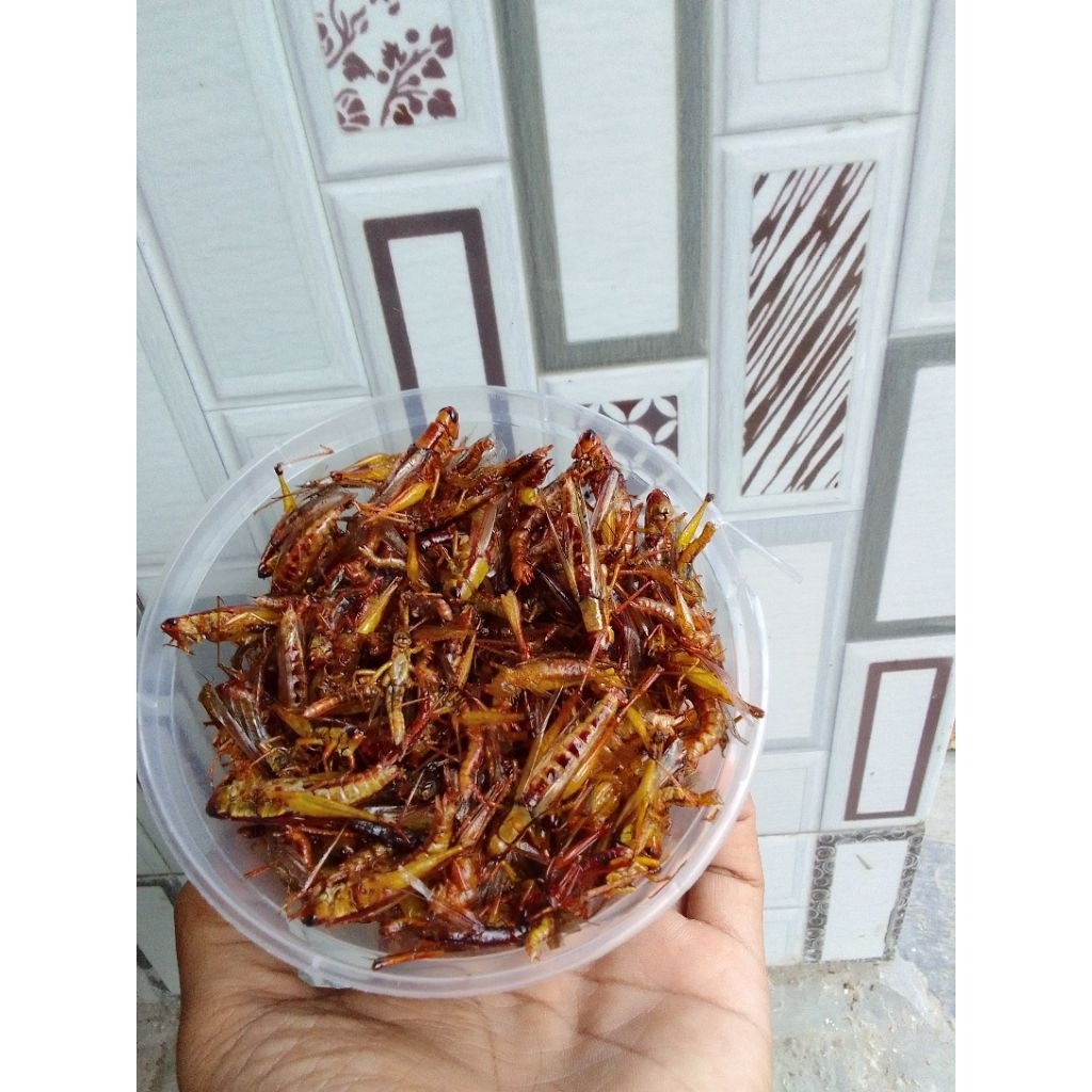 

BELALANG GORENG UTES/PADI KEMASAN TOPLES MINI BERAT -+80GR MURAH