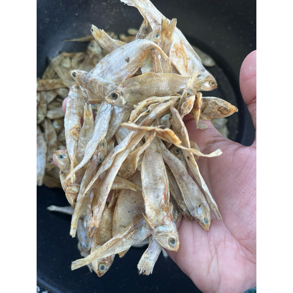 

Ikan Teri Super Jumbo buat lalapan sambal penyet 500 gr