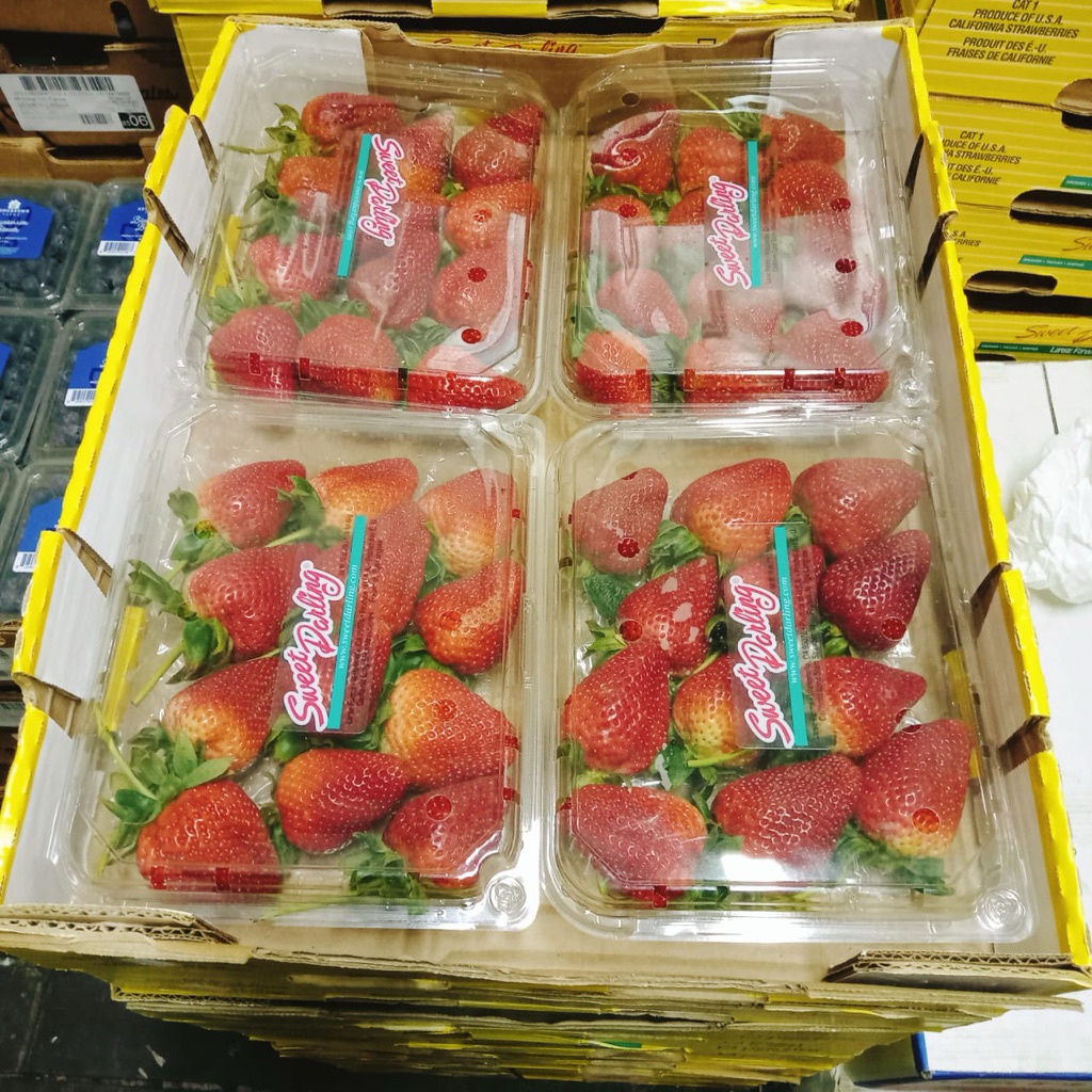 

fresh Strawberry Sweet Darling super size jumbo manis banget 1 pack 600 gram isi 12 buah