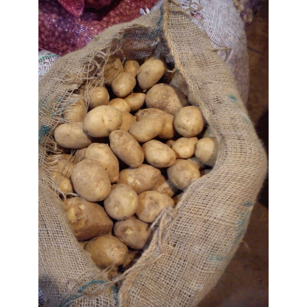 

kentang ukuran sedang 1kg