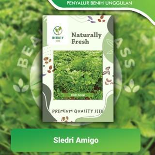 Benih Seledri Amigo Hidroponik Unggul