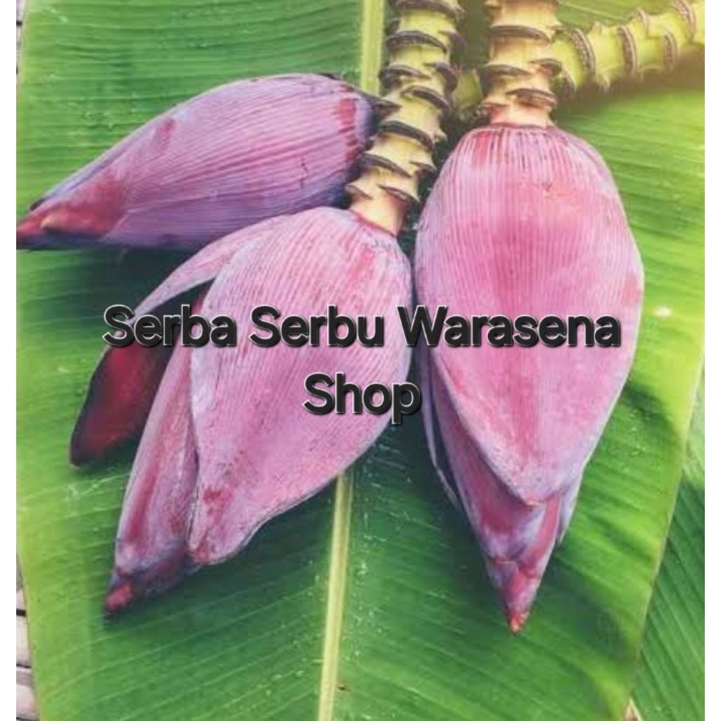 

Jantung pisang kepok