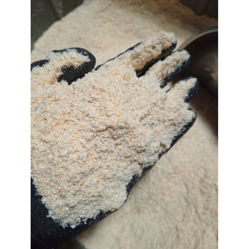 KATULJAGUNG/DEDAK JAGUNG MURNI 100% JAGUNG.