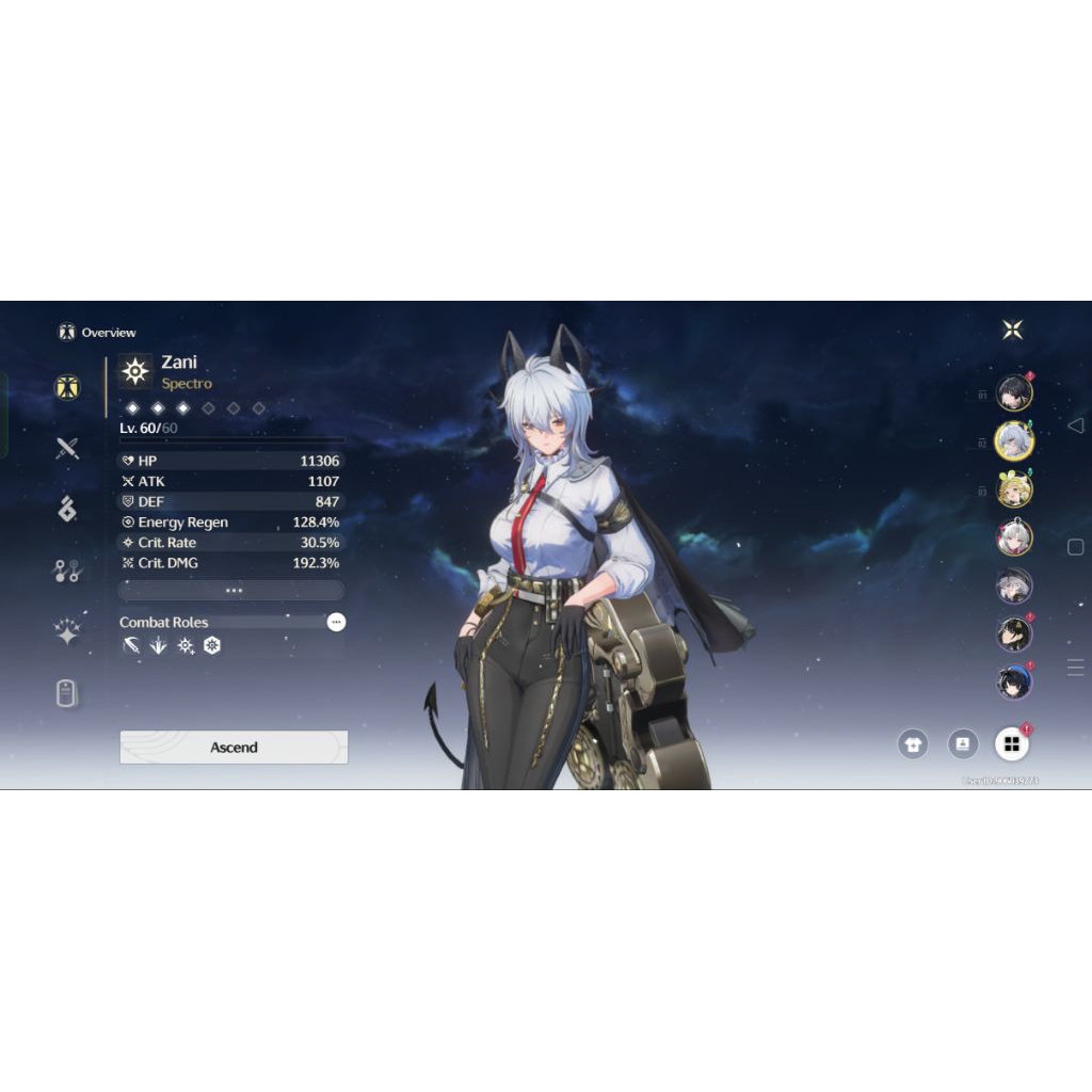 Akun Starter Wuthering Waves Bervariasi