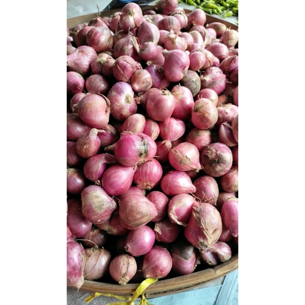 

bawang merah super