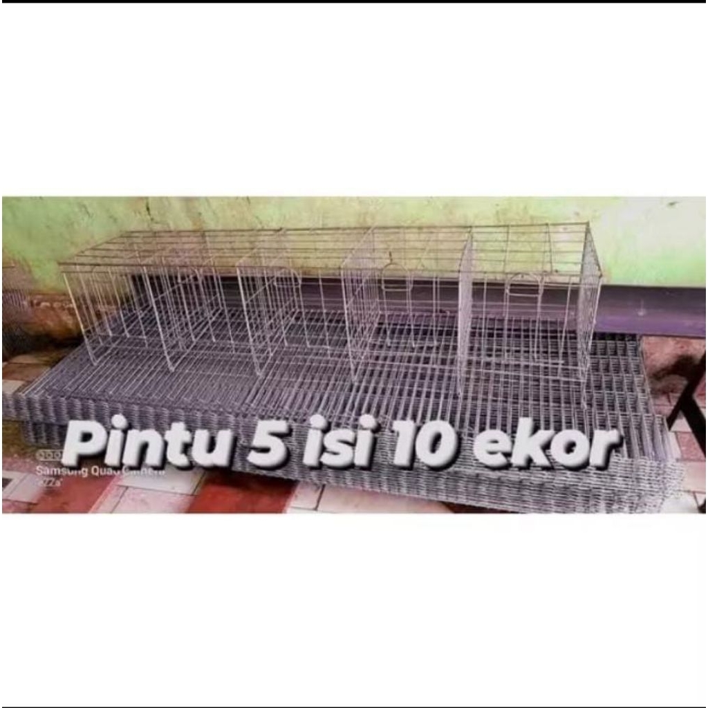 kandang baterai khusus untuk ayam bertelur 5 pintu isi 10 ekor