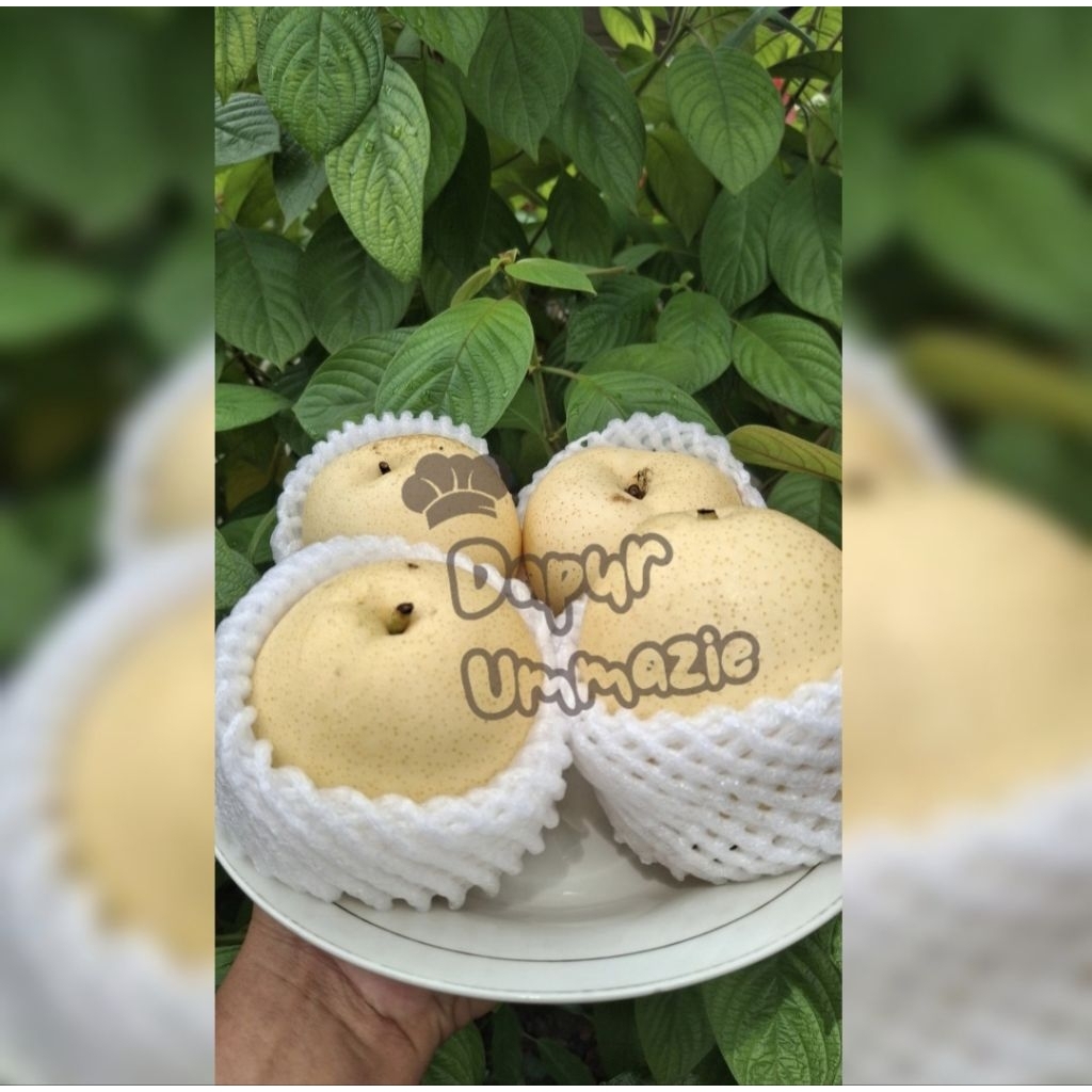 

PEAR CENTURY MADU 1KG FRESH BANYAK AIR CRUNCHY MANIS