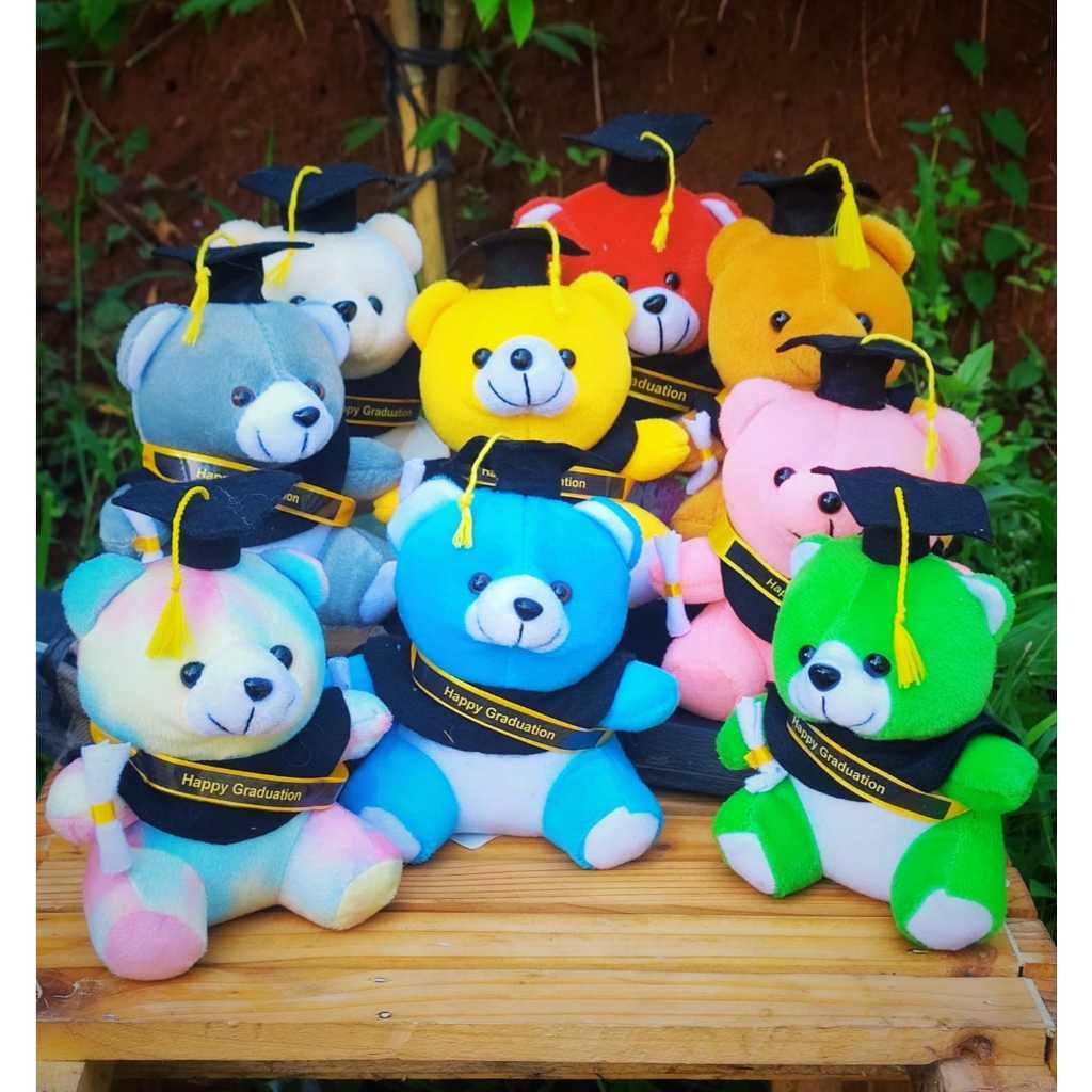 COD Tanpa PO Boneka Wisuda Mini 15 Cm Custom Selempang Nama Di Selempang, Boneka Buket Wisuda