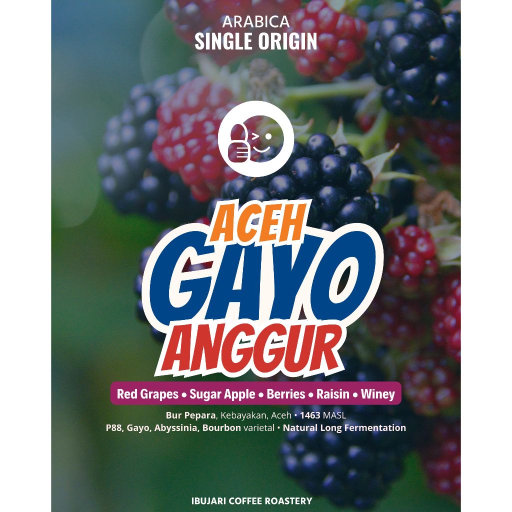 

Aceh Gayo Anggur Biji Kopi Arabika Single Origin Arabica Roasted Beans Filter Ibujari Coffee Roastery