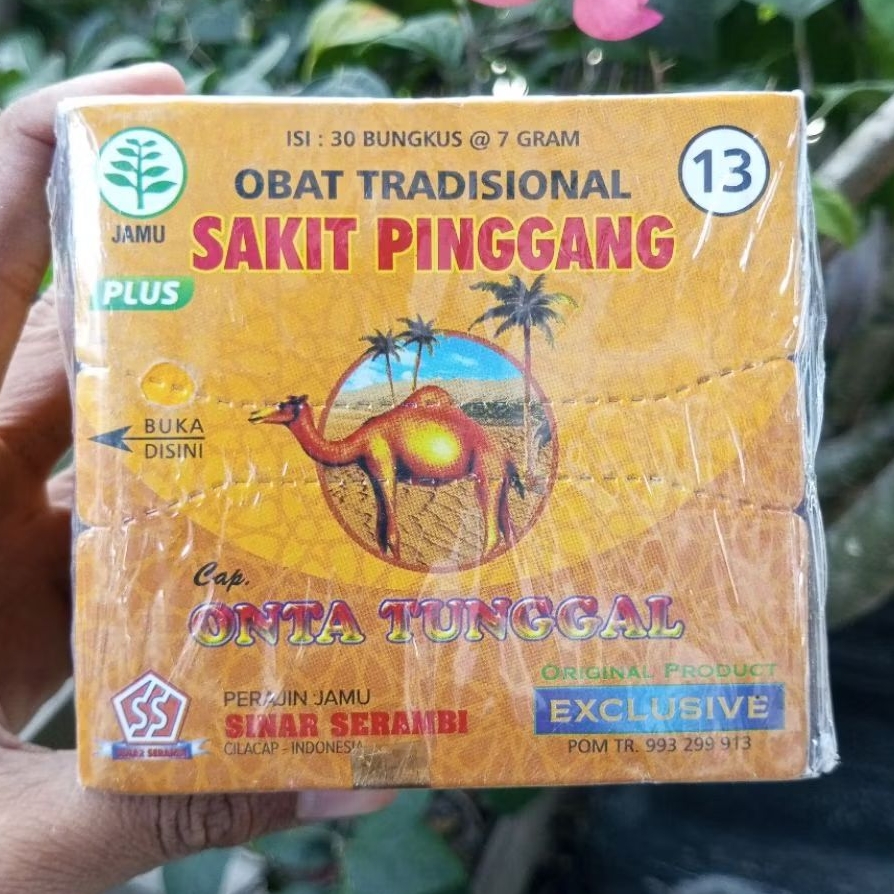 

ONTA TUNGGAL SS POLIP HERBAL TRADISIONAL SERBUK
