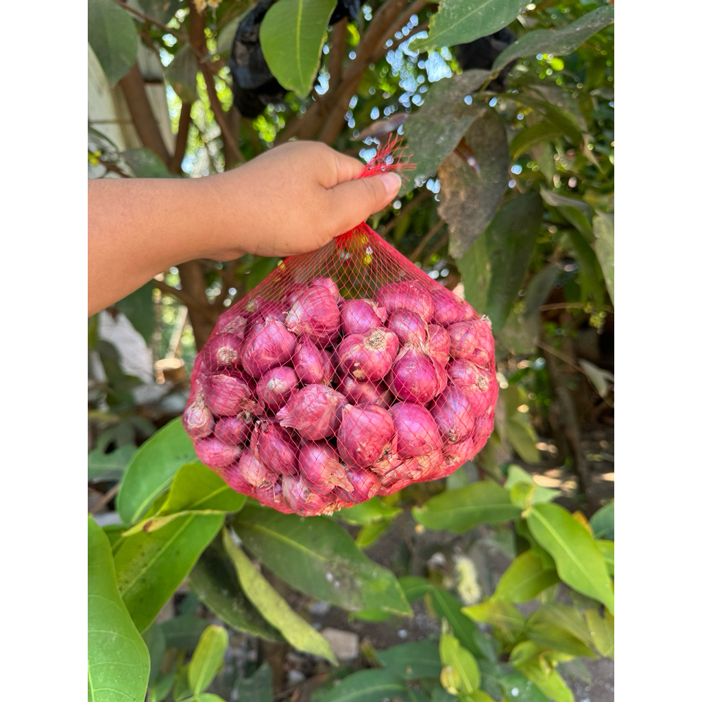 

BAWANG MERAH KERING SUPER PREMIUM-bawang merah bawang merah