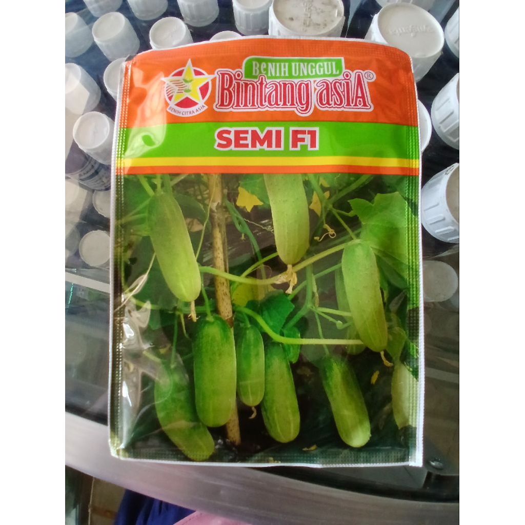 Benih Bibit Timun Semi F1 20 gram