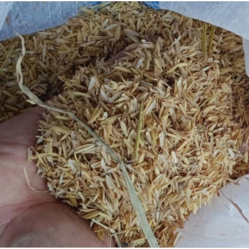 sekam padi mentah karungan besar