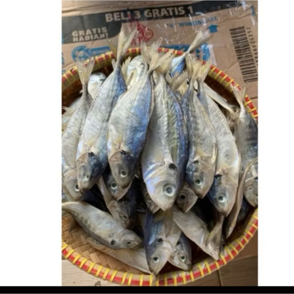 

ikan asin selar size jumbo Fress n segar langsung dapat dari laut, di olah dengan bahan alami. harga mulai dari 1kg, size jumbo