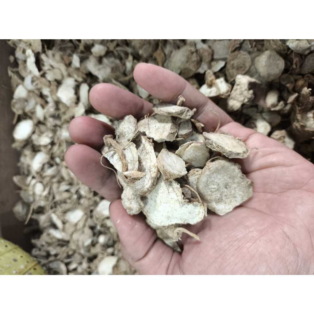 

Kencur Kering Kemasan 100gr