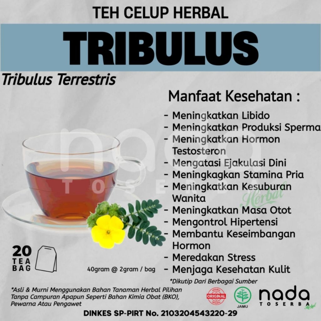 

Teh Celup Herbal TRIBULUS Isi 20 Tea Bag | Tribulus Terrestris