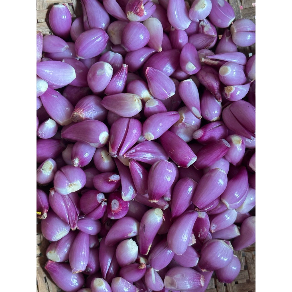 

BAMER KUPAS MURAH 1KG