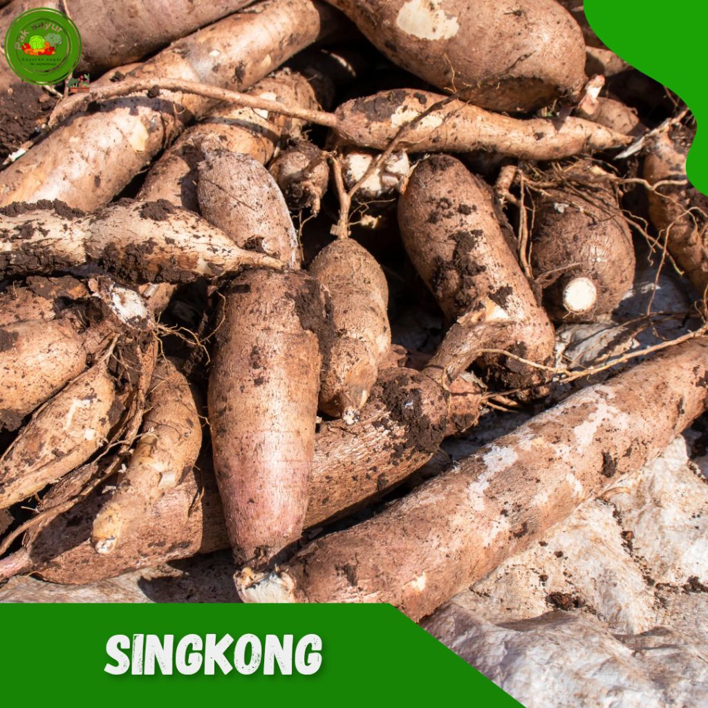 

Singkong / Ketala , Singkong 1kg , Singkong Enak Murah , cassava