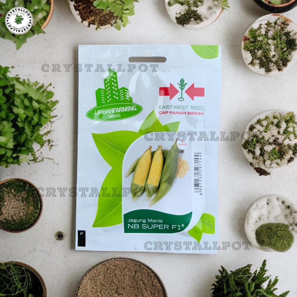 Liceriashop17 Benih Bibit Jagung Manis Nb Super F1 Cap Panah Merah - Jagung Manis Nb Super F1 East