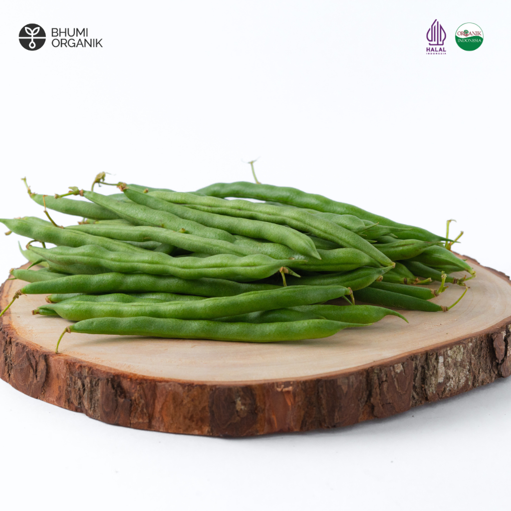 

Buncis Organik 250 gram - Ceritanik / Bhumi Organik - Chickpeas Organic - Sayur Organik Murah - Sayur Organik Sehat - Sayur Organik Premium