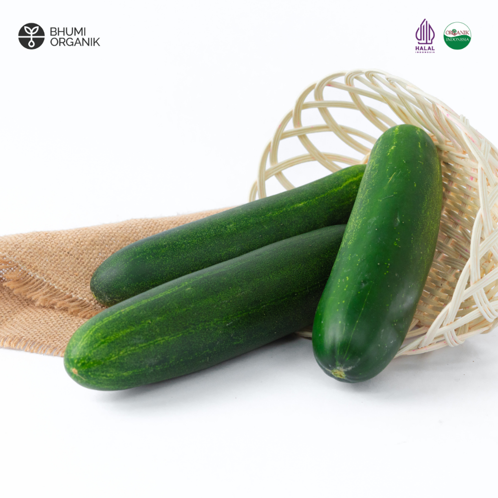 

Timun Organik 500 gram - Ceritanik / Bhumi Organik - Cucumber Organic - Sayur Organik Murah - Sayur Organik Sehat - Sayur Organik Premium