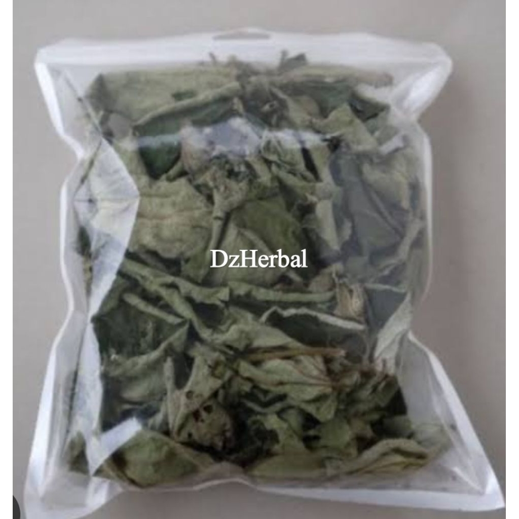 

Daun kersen kering MURNI daun perbungkus-az