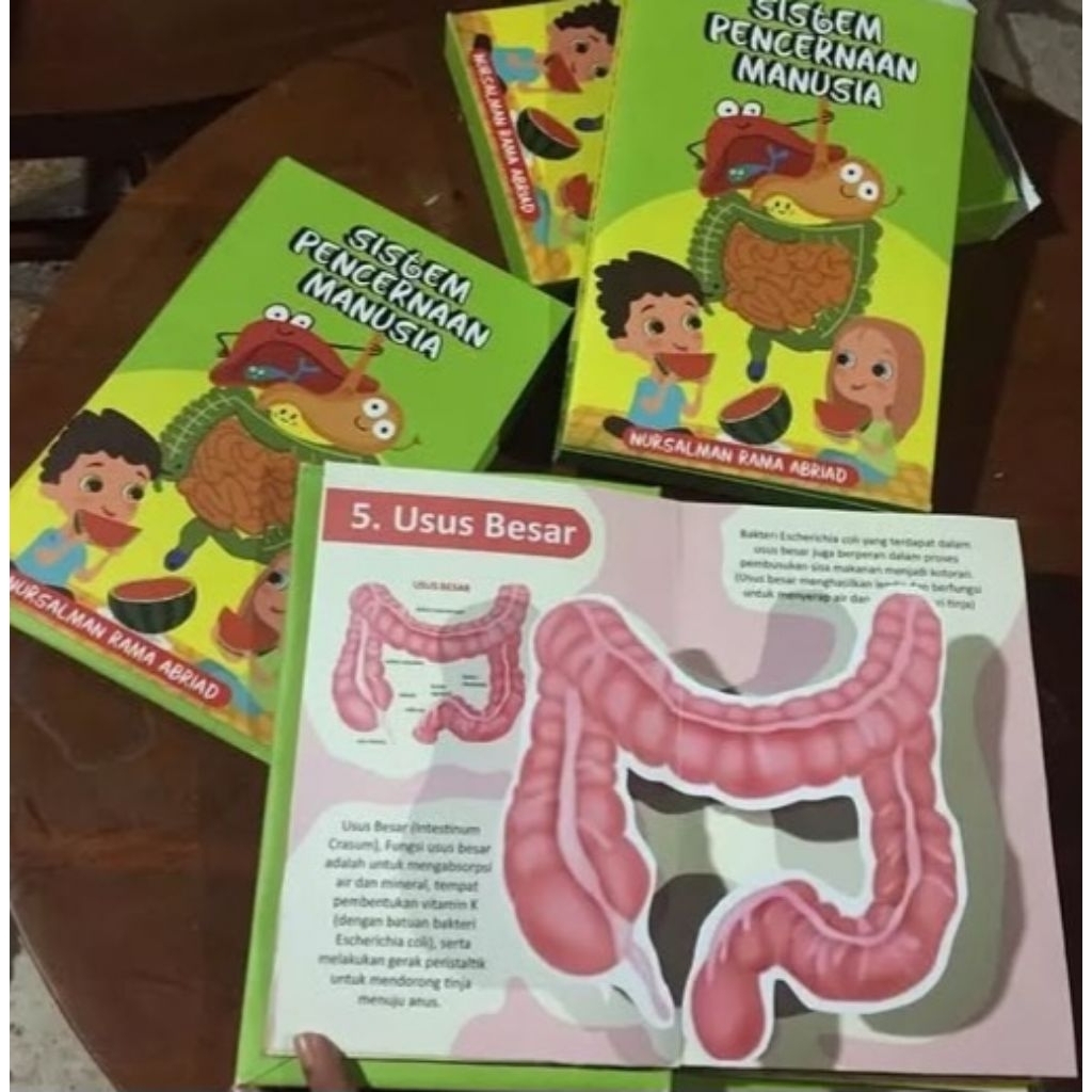 

Bundling Pop up pencernaan