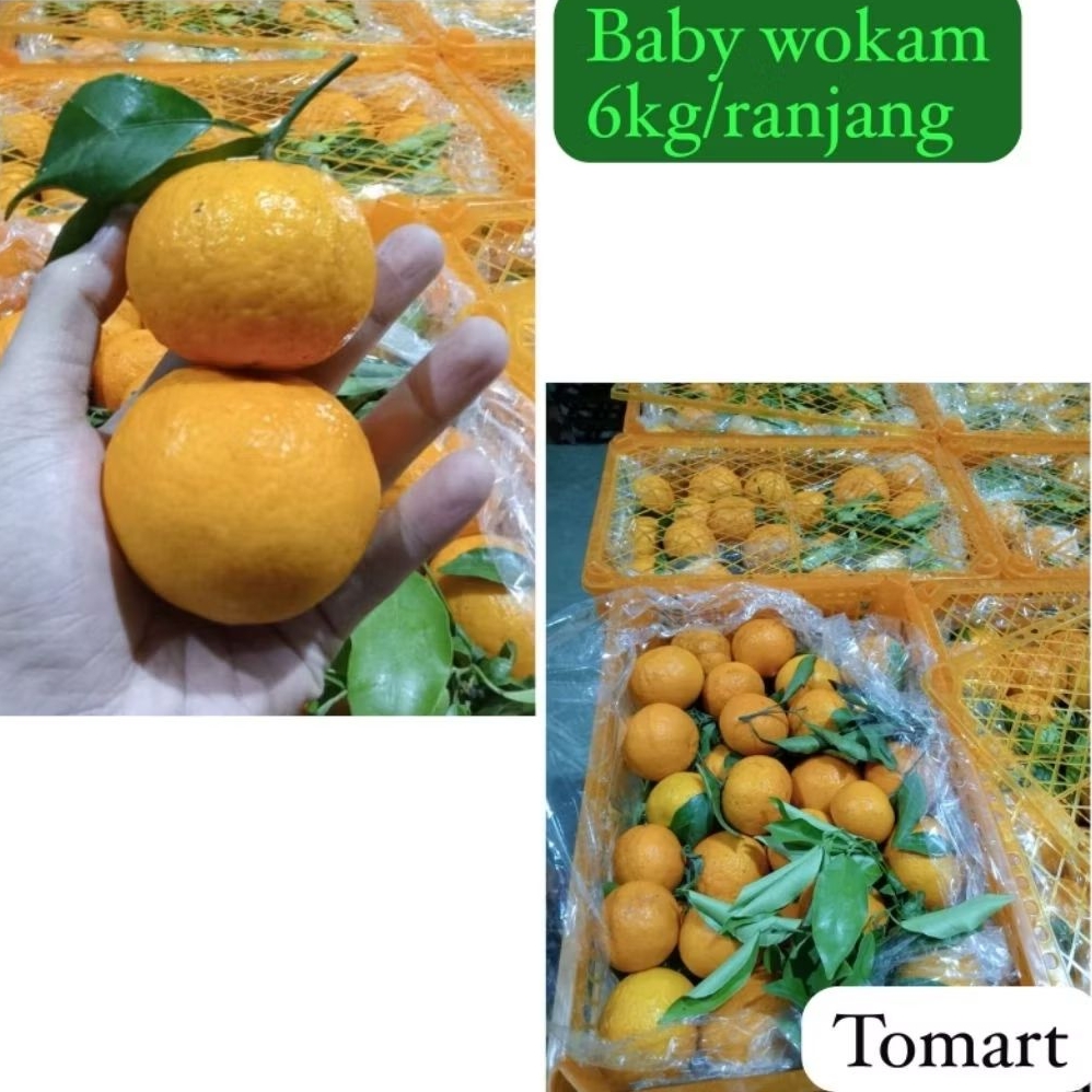 

JERUK WOKAM NON BIJI MANIS SEGAR 1 PC 150gr