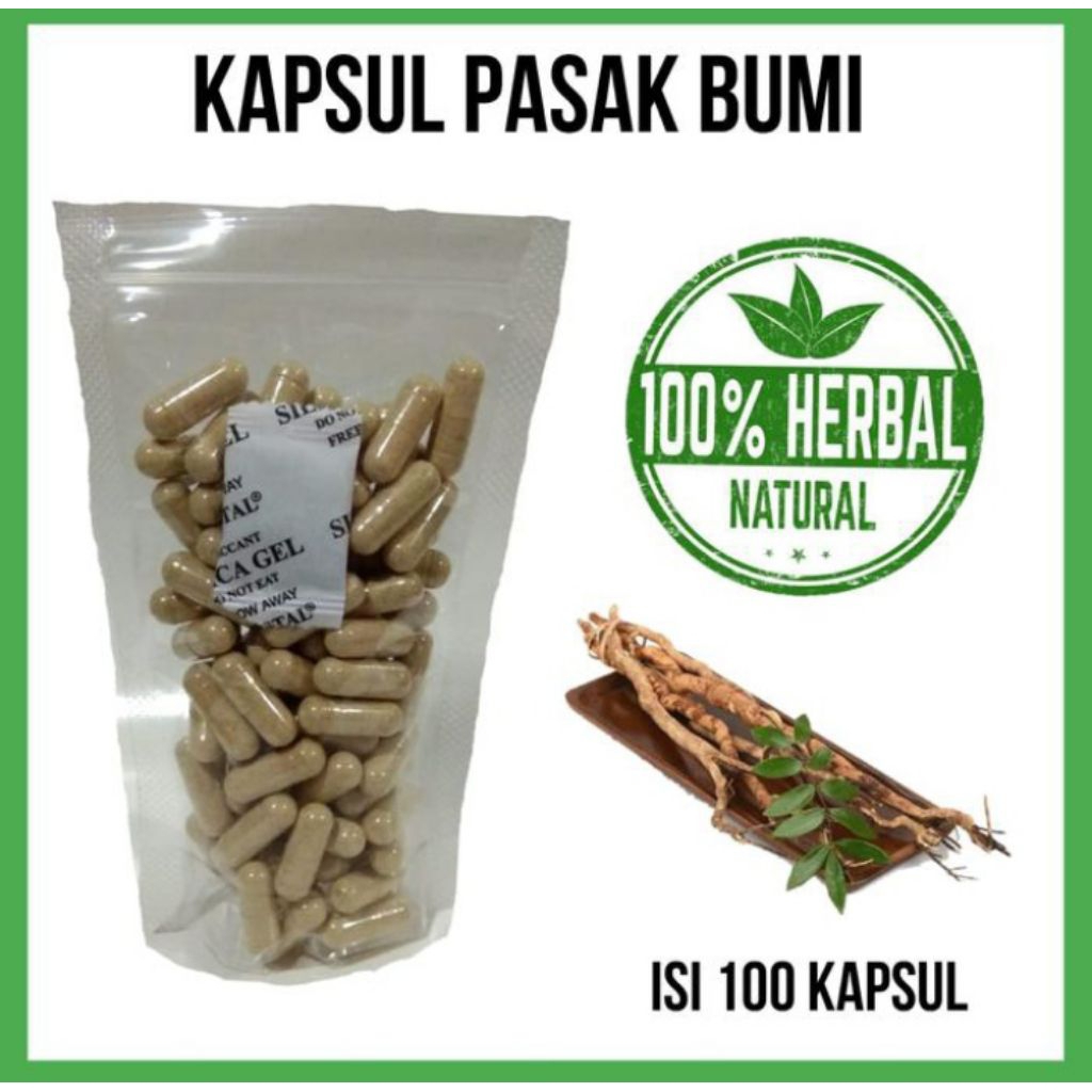 kapsul pasak bumi isi 100 kapsul