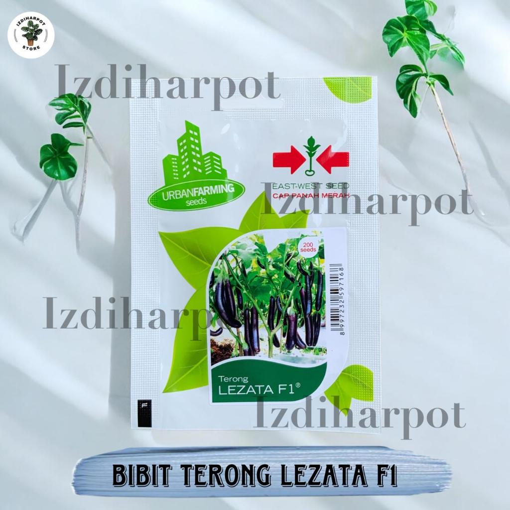 Benih Bibit Terong Ungu Panjang Lezata F1 Cap Panah Merah - TERONG PANJANG LEZATA F1 EAST WEST SEED