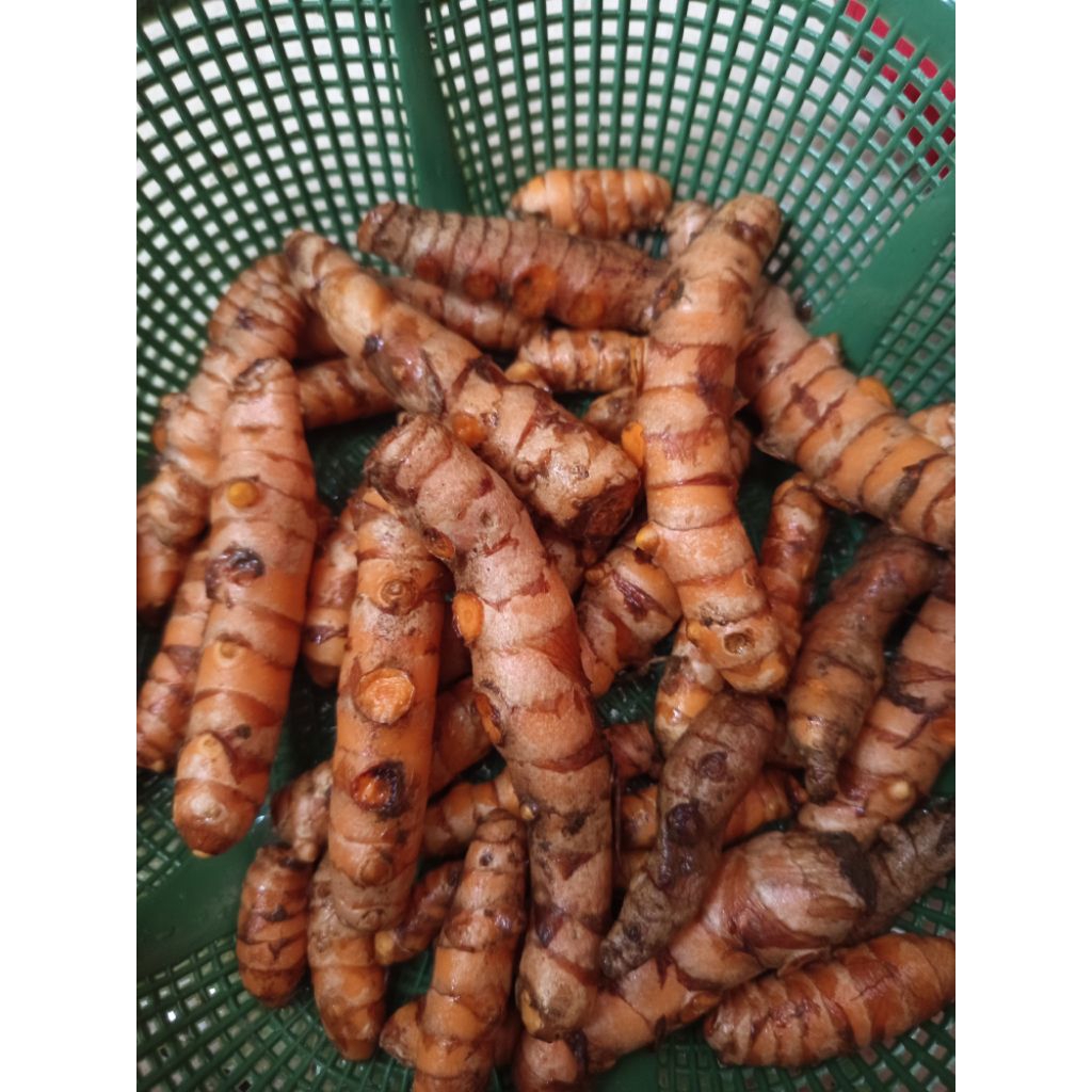 

jual kunyit segar 1kg