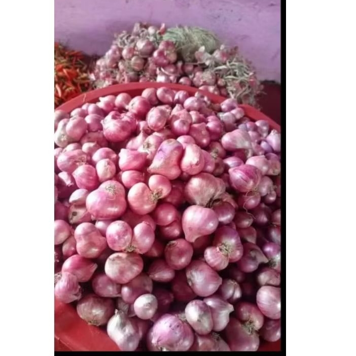 

BAWANG MERAH FRESS KERING 500g