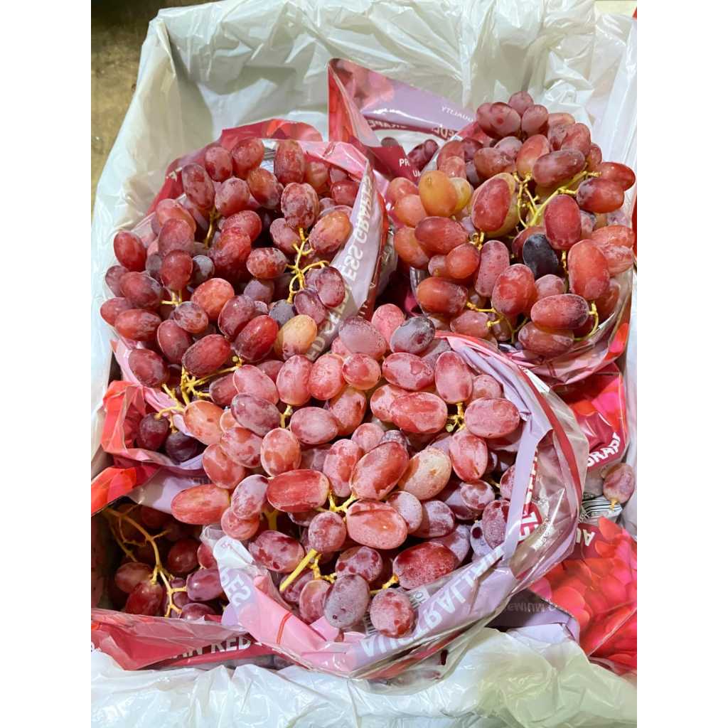 

ANGGUR CRIMSON SEEDLES -+900Gr