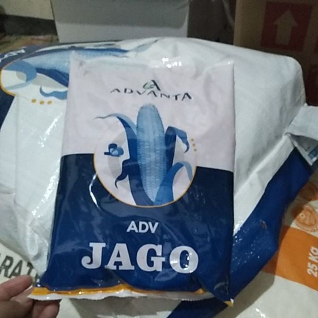 Benih jagung ADV Jago 100% asli